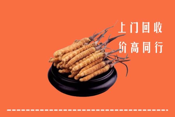 高价求购：吉首市回收散虫草